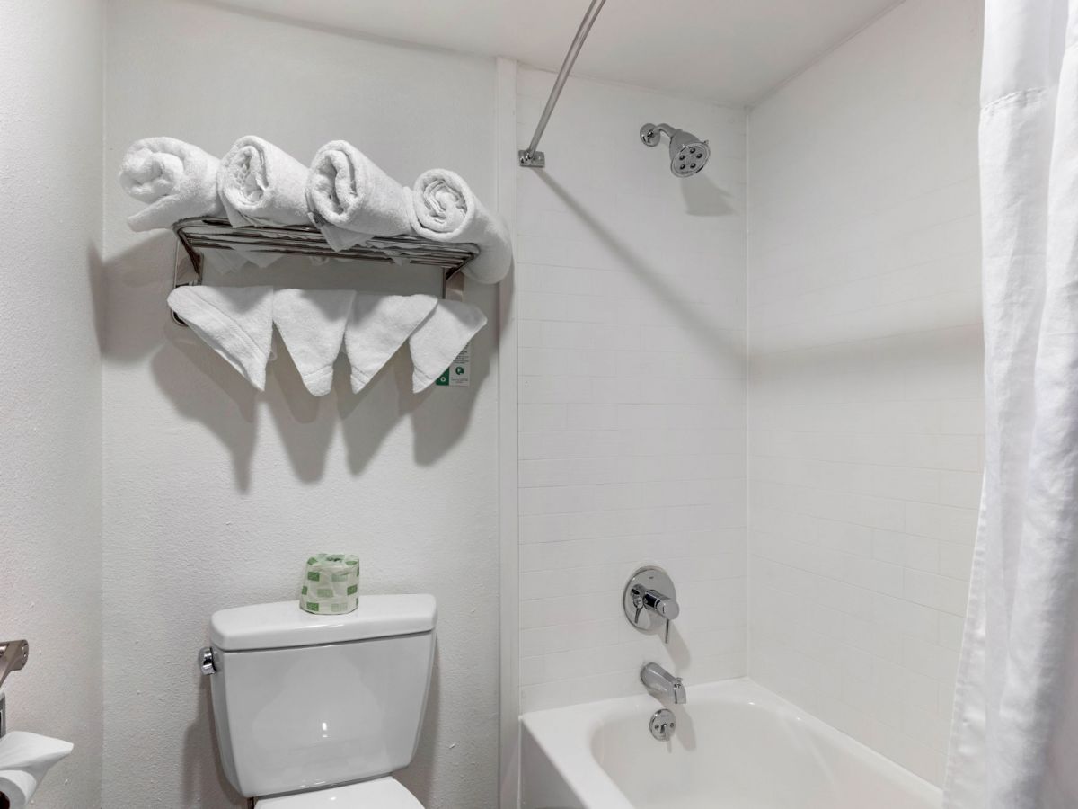 Budget Rooms & Suites Bowling Green KY VetteCity Hotel Bowling Green